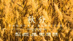 秋分丨晝夜分畫，漸入秋華